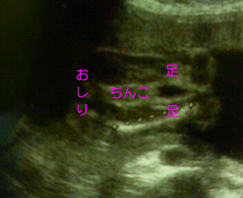 c0121141_1550535.jpg