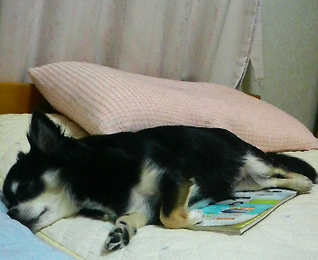 c0121141_1614937.jpg