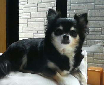 c0121141_1683445.jpg