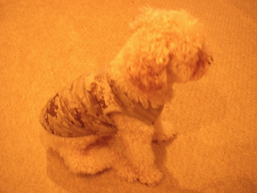 a0044046_224331.jpg