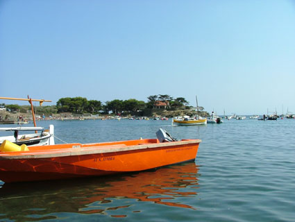 f0181149_440737.jpg