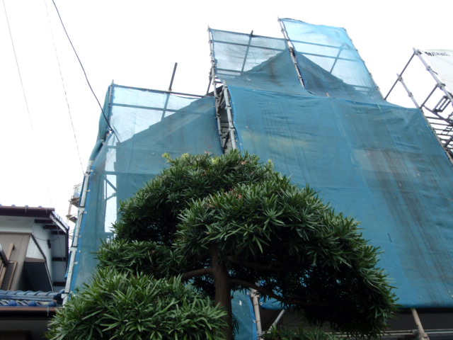 b0071653_1925638.jpg