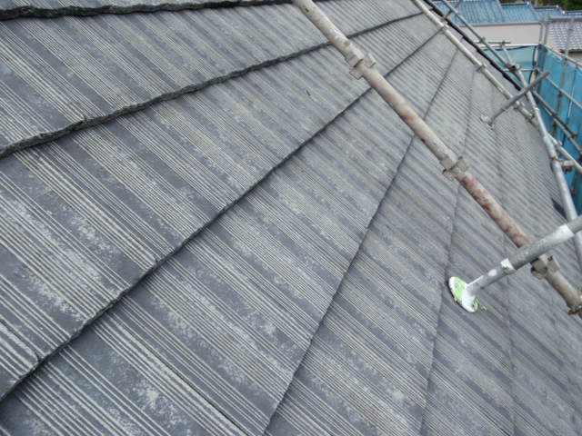 b0071653_1931499.jpg