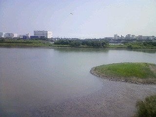 f0044056_11415298.jpg