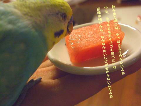 f0149057_13191623.jpg