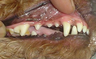 e0129958_11211998.jpg