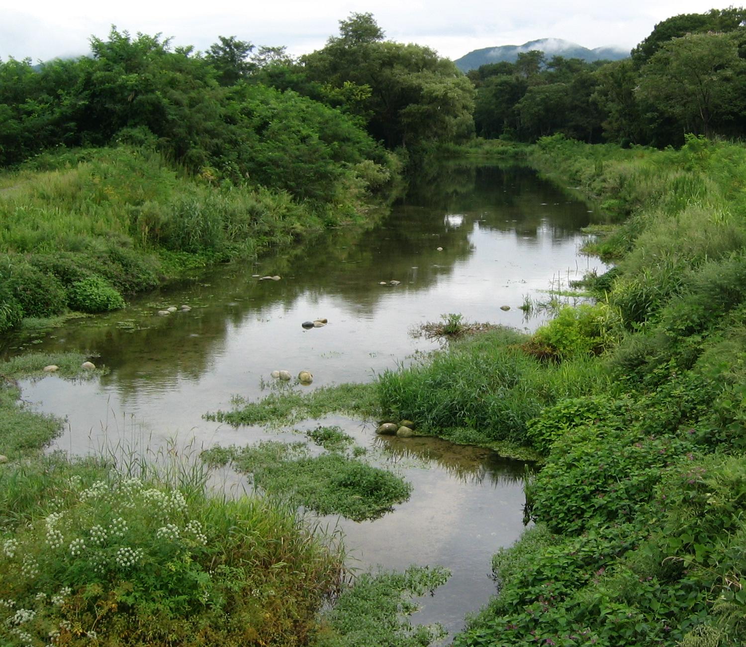 c0140260_2313284.jpg