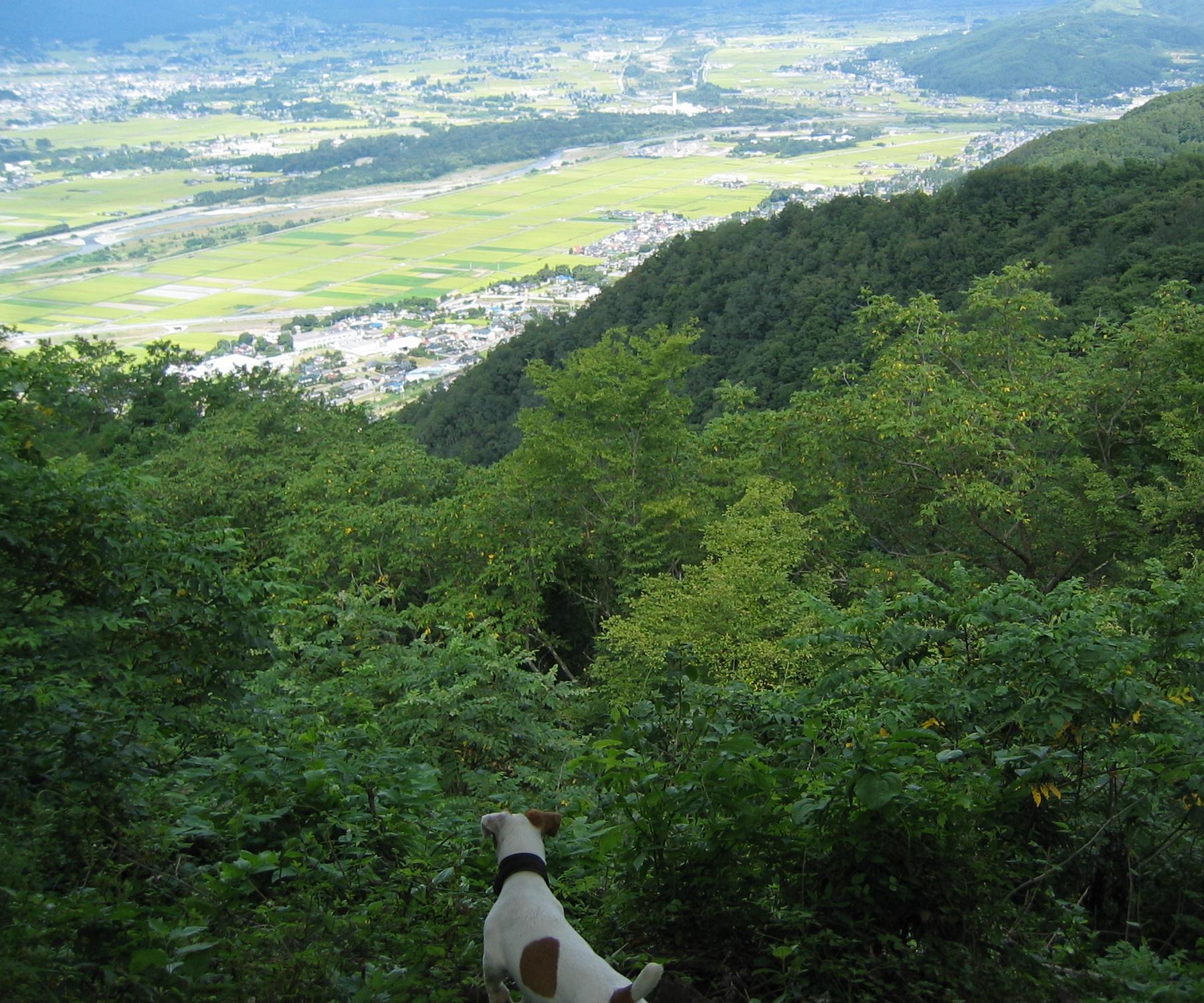 c0140260_23133468.jpg