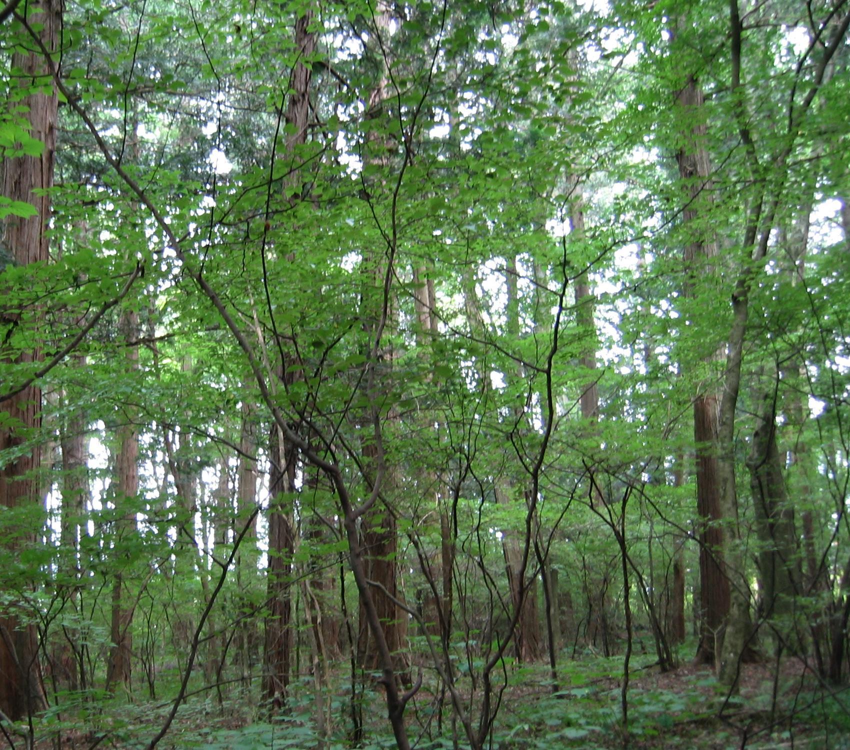 c0140260_23163169.jpg