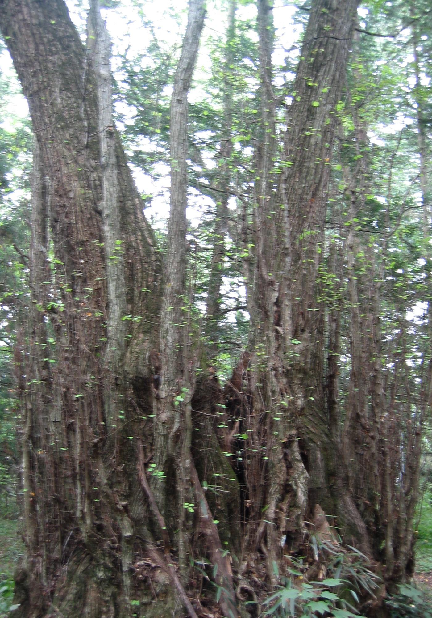 c0140260_23165256.jpg