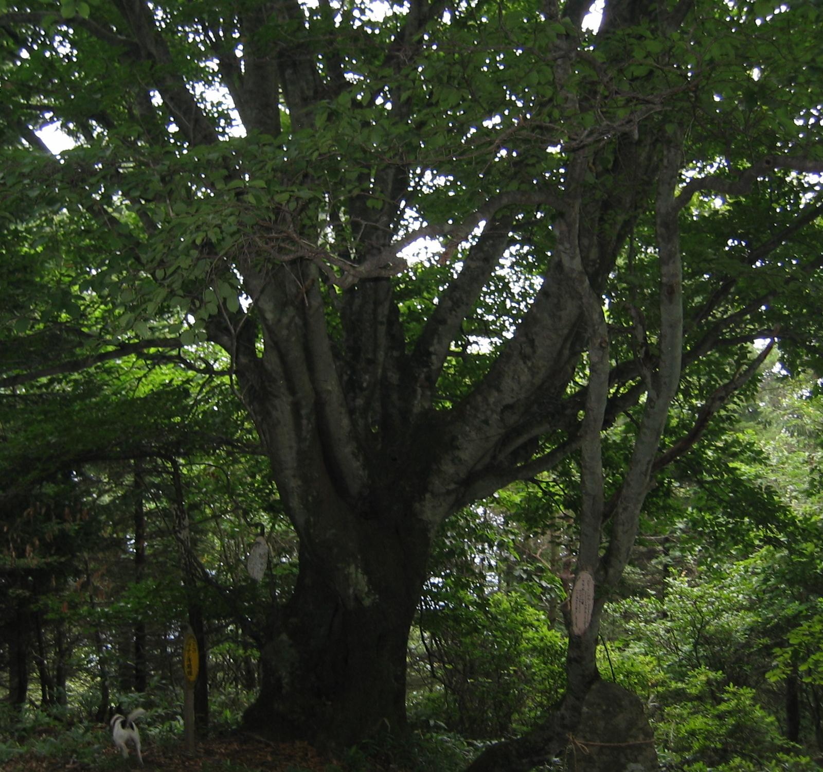 c0140260_23171670.jpg