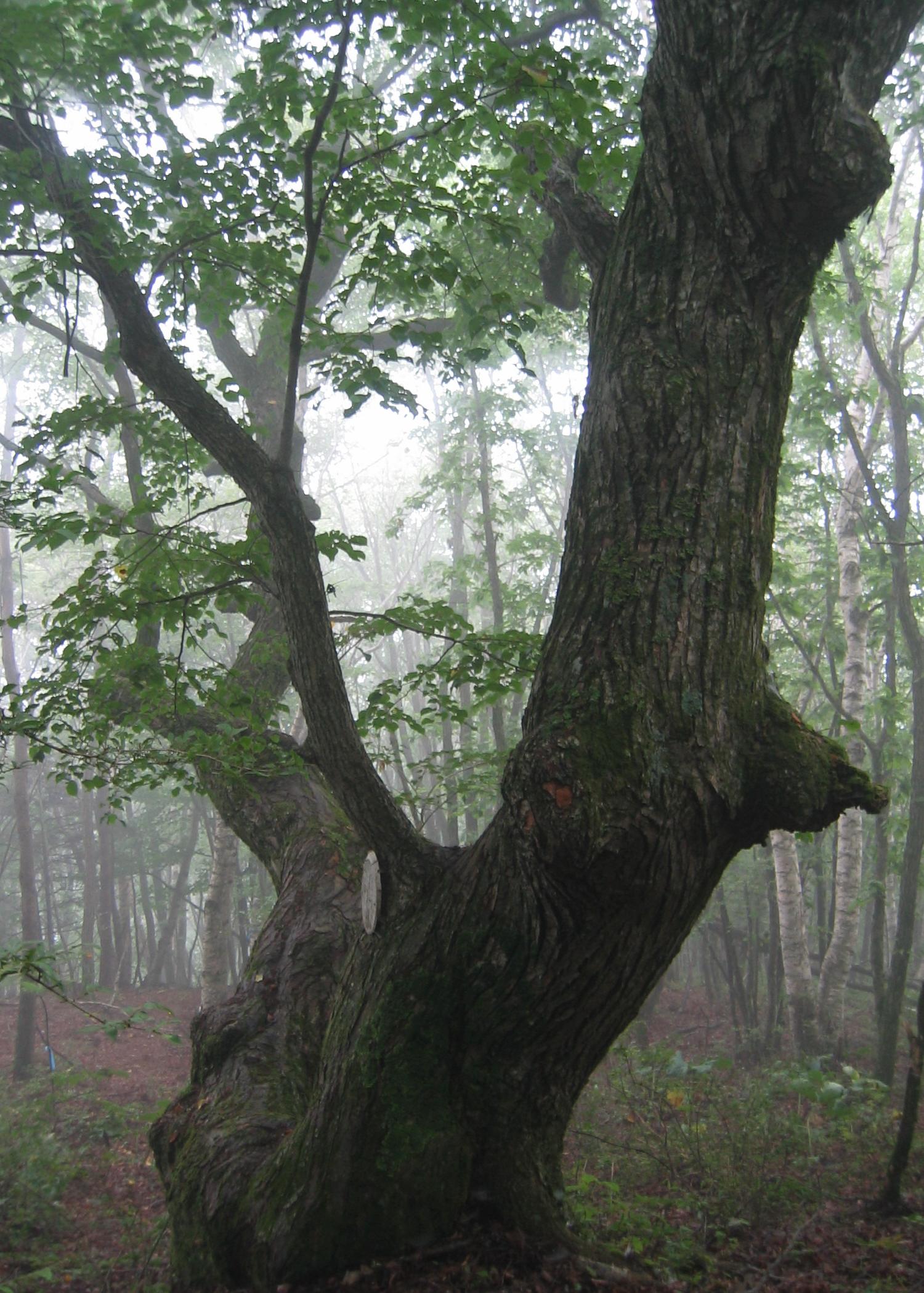 c0140260_23191782.jpg