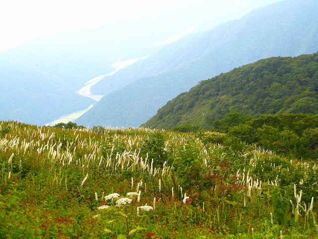 f0156960_14205081.jpg