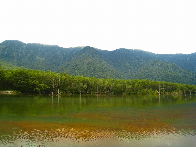 f0156960_1444770.jpg