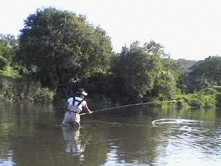 f0084561_17245872.gif