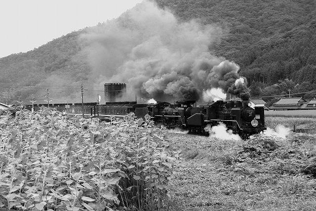 c0173762_1937668.jpg