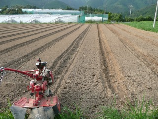 f0055264_22123526.jpg