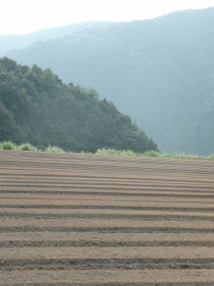 f0055264_2295892.jpg