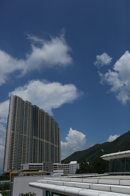b0149365_103141.jpg