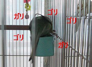 f0196665_001419.jpg