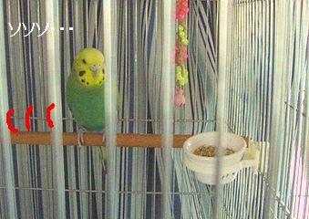 f0196665_016135.jpg