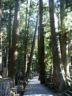 f0054677_20167100.jpg