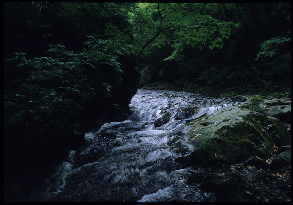 a0053783_21534443.jpg