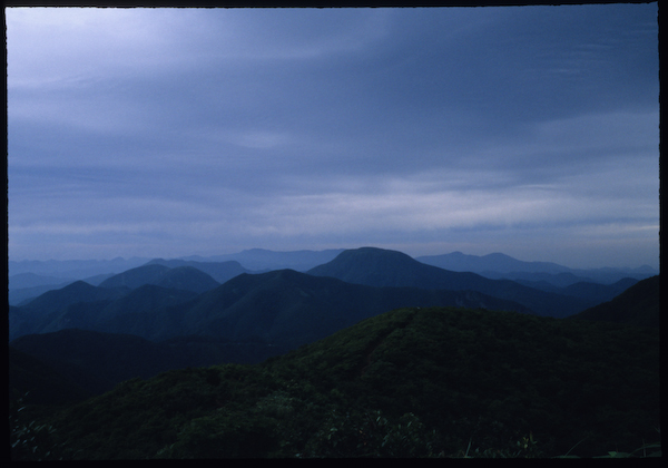 a0053783_2332330.jpg