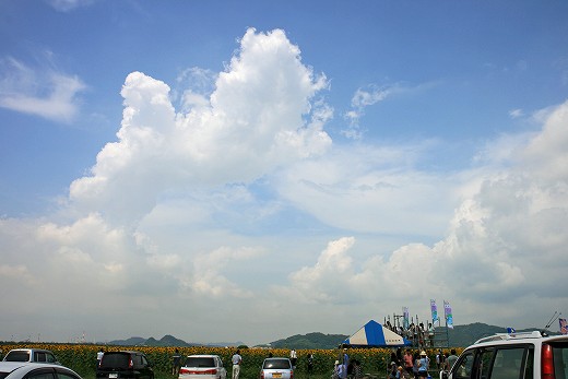 e0190885_2111676.jpg