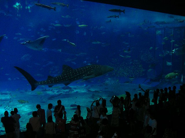 c0160387_8162373.jpg