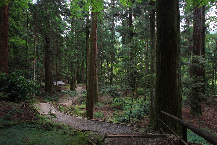 e0051888_2433279.jpg