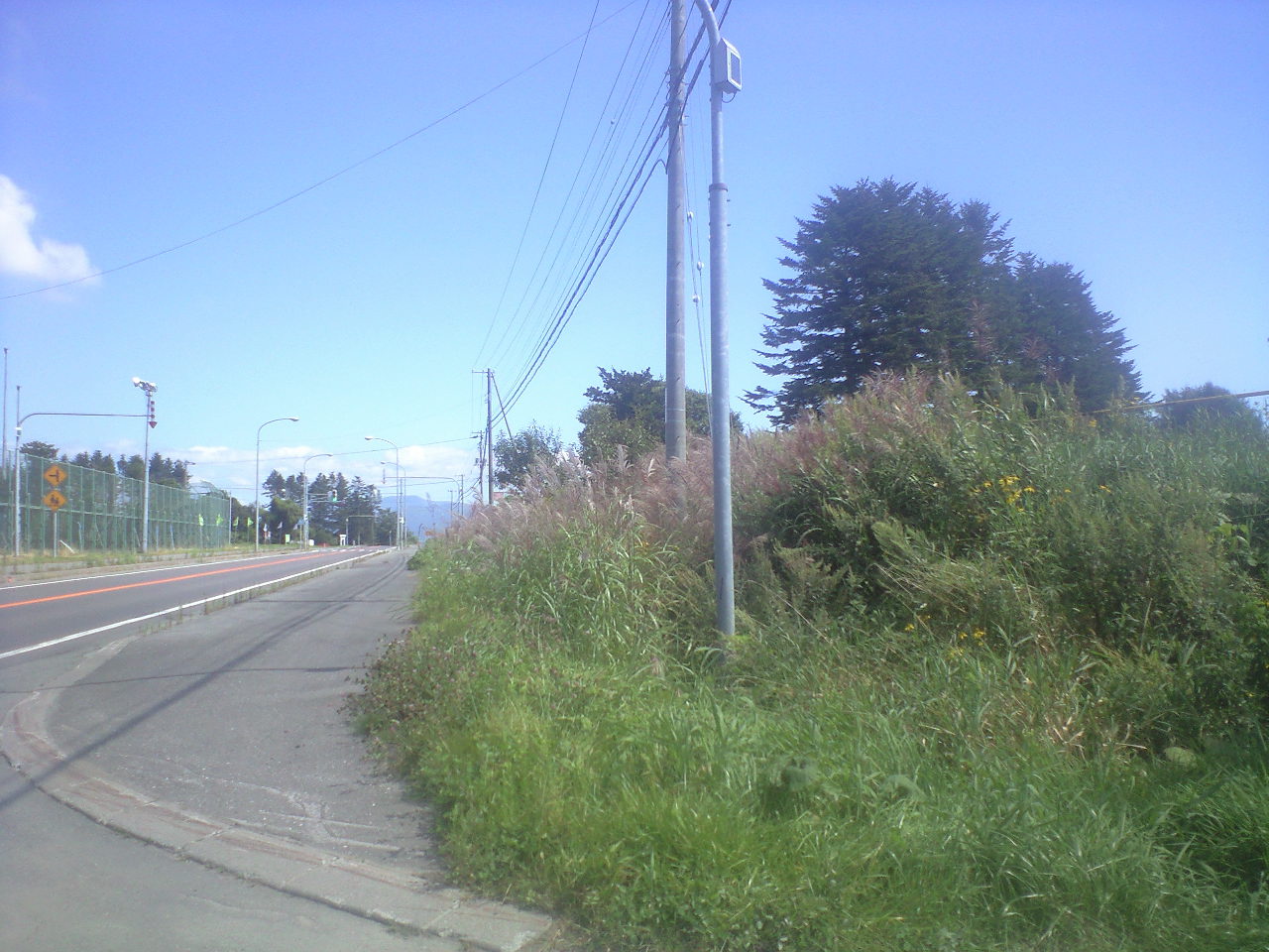 d0096992_1632324.jpg