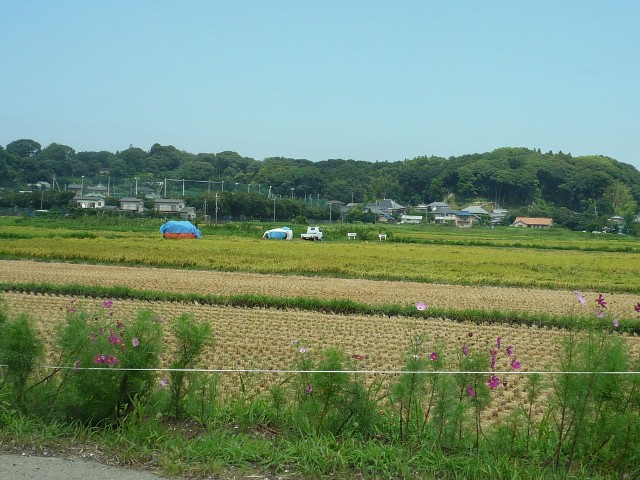 e0192392_22175874.jpg