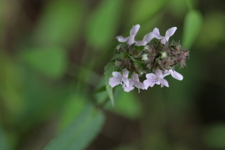 d0133693_2139299.jpg