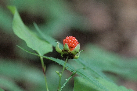 d0133693_21403290.jpg