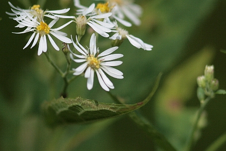 d0133693_4545718.jpg