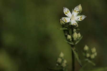 d0133693_4552992.jpg