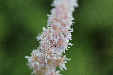 d0133693_4571614.jpg