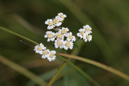 d0133693_457272.jpg