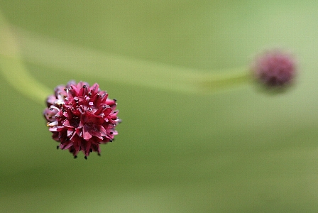d0133693_45853.jpg