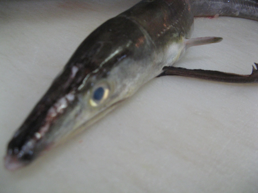 f0084695_20145664.jpg