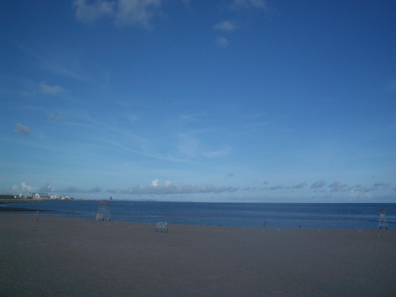 c0193396_1172760.jpg