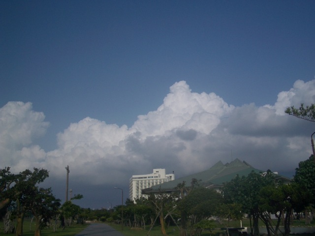 c0193396_119475.jpg