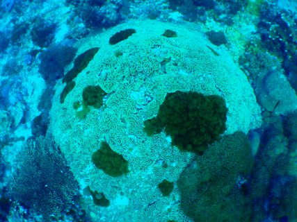 e0023100_22494422.jpg