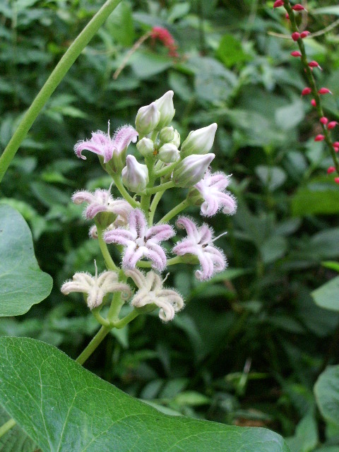 e0025300_14265956.jpg