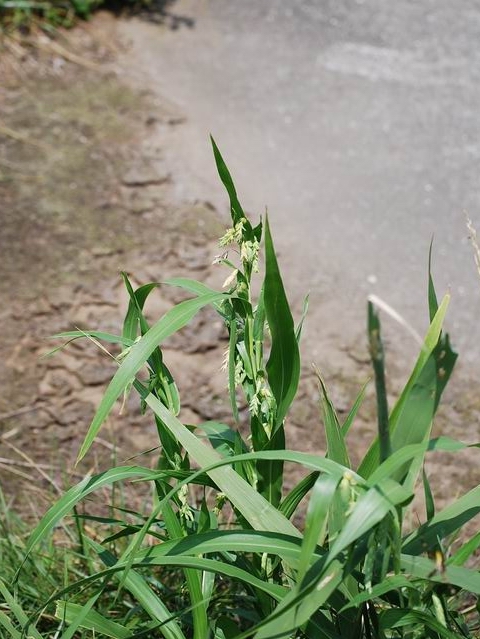 e0025300_14342780.jpg
