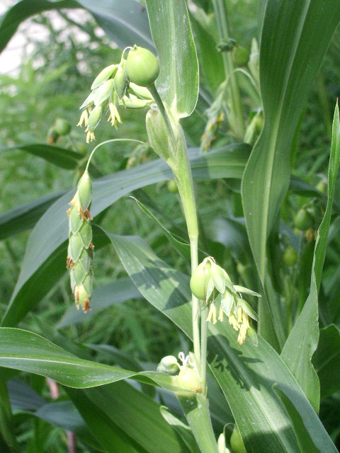 e0025300_14345245.jpg