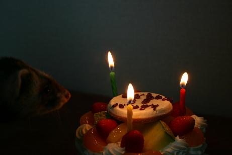 d0079602_16261422.jpg