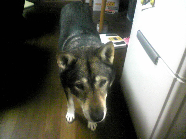 f0079202_2259434.jpg