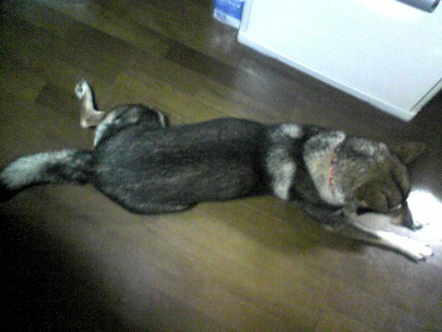 f0079202_22594384.jpg